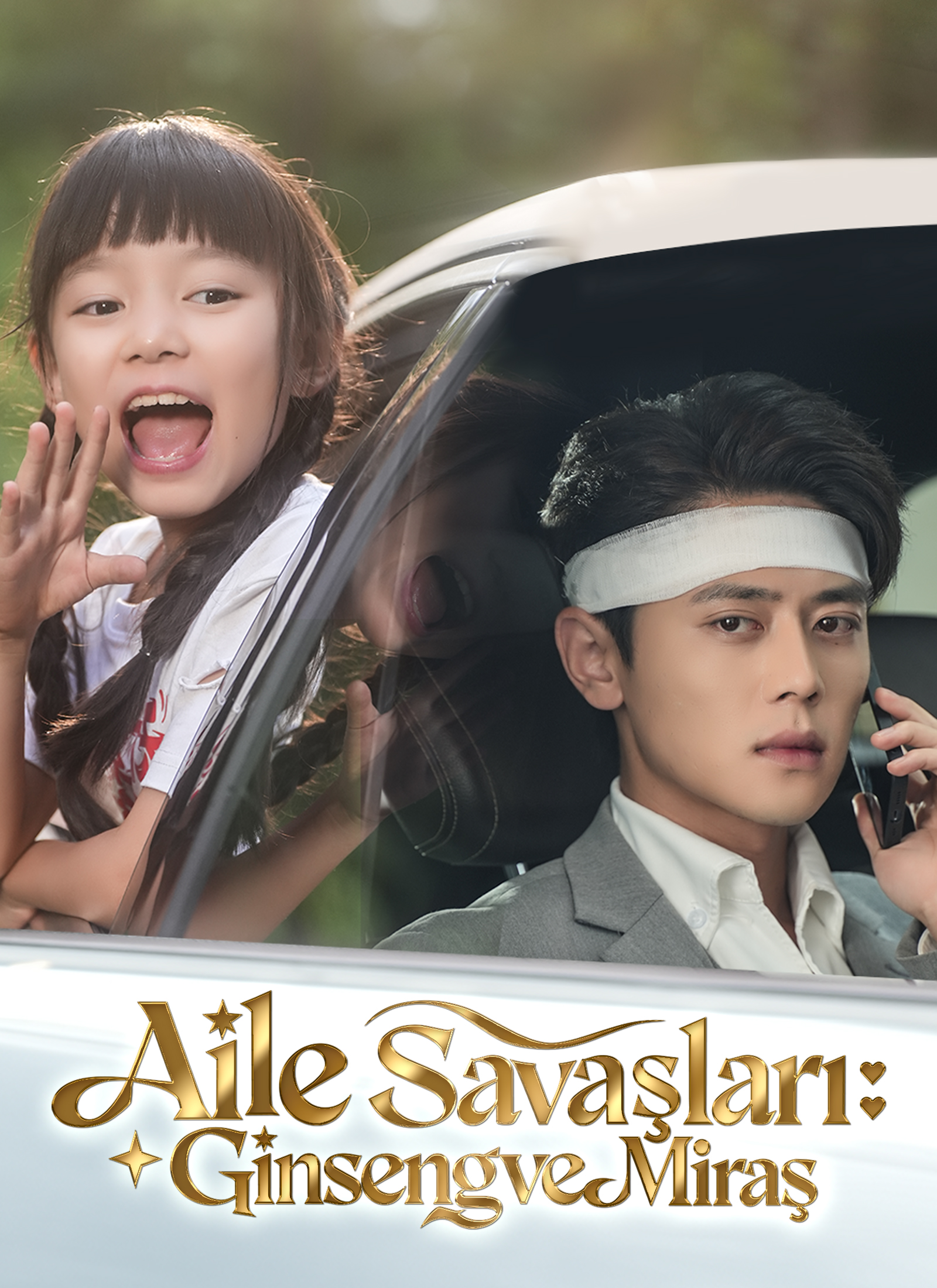 Şahin Ailesinin Şifacısı Explore Series Poster