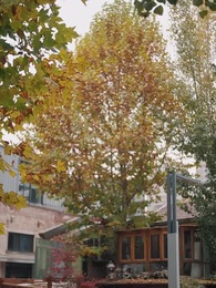 Episode 3 - The Boy Who Made Her Queen