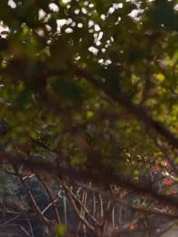 第64集 - 輪迴百世，你真當我是癩蛤蠆