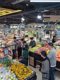 第17集 - 別惹絕症老登，他的正義系統會出手