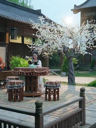 Episodio 75 - Ritrovarti Ancora, Mia Principessa