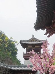 第46集 - 乖巧女人最好命，太子欲罷不能