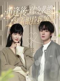 重逢後,高冷裴總紅著眼拉我領證