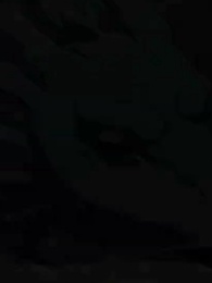 Penjinak Jenius - Episode 52