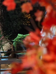 12화 - 거짓이 현실로