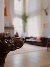 第37集 - 上錯婚車，錯娶絕色千金