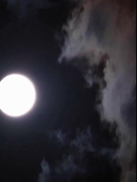 乖巧女人最好命，太子欲罷不能 - Episode 57