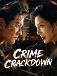 Crime Crackdown poster