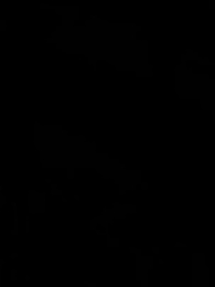 Episódio 56 - Meus Maridos, Minha Fortuna