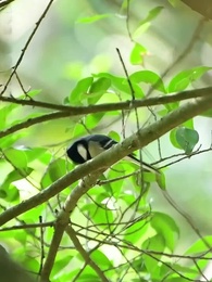 Vientos Cruzados - Episode 69