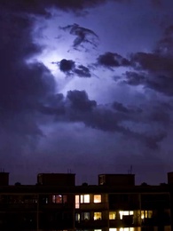 Tập 45 - Bé Cưng Nghe Được Tiếng Lòng Cây Cỏ