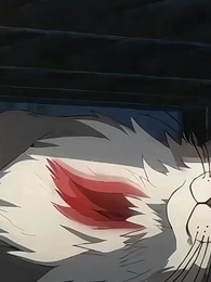 Episode 15 - [Dubbed]Cat-Man and His Goddesses