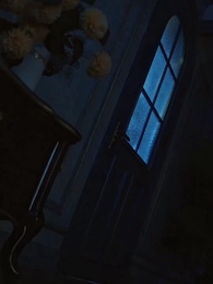 Episodio 10 - Mi marido vegetativo