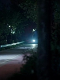 Episode 25 - Flowers Bloom