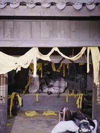 Surya Pemburu Konspirasi Kultivasi - Episode 11