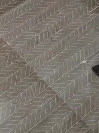 Episodio 47 - [Doppiato]Il Cultore