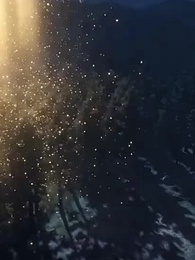 Sonsuz Evrim - Episode 4