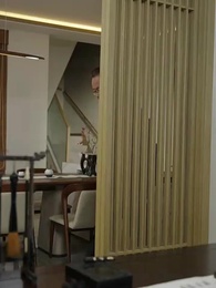 Episodio 11 - [Doppiato]Il Cultore