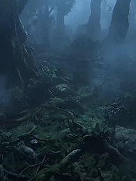 Bölüm 7 - Sonsuz Evrim