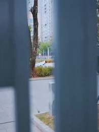 Episode 11 - Under This Roof, I Make the Rules