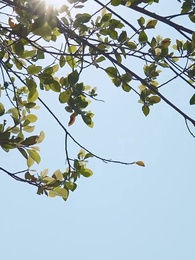 第1集 - 婚紗下的抉擇