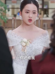 第41集 - 婚紗下的抉擇