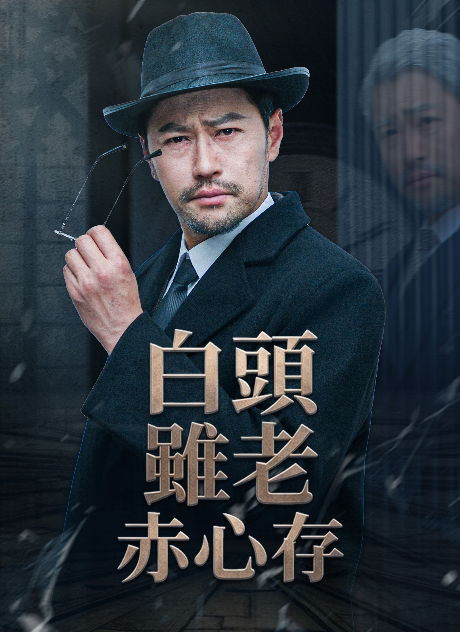 《白頭雖老赤心存》封面