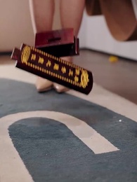 第2集 - 白頭雖老赤心存