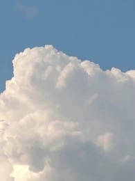 الحلقة 33 - قيود الانتقام والخلاص