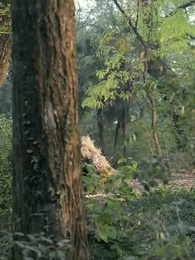 Episode 11 - Takdir Yang Berubah