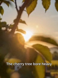 You Chose Enlarge, I Chose to Survive - Episode 30