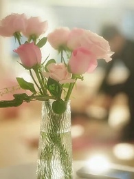 Episode 1 - [Dubbed]License to Lie