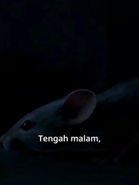 Episode 7 - Rahasia Gelang Jujur