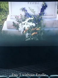 Episode 12 - [Dubbed]Bitter Lies, Final Goodbye