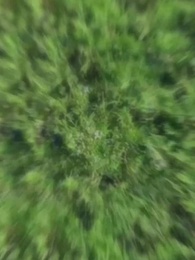 Episode 46 - Dream Slayer: I Level Up Alone