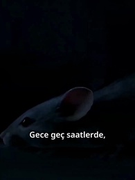 Yemin Ederim - Episode 7