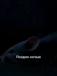 Серия 7 - Браслет правды