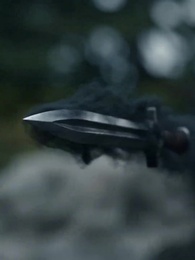 Episode 17 - Crown of the Moon: The Fallen Lady’s Bid