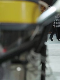 Episode 5 - Return of the Lioness: A Mother’s Justice