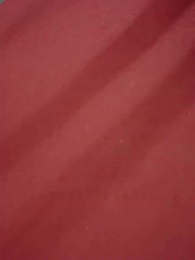 Return of the Lioness: A Mother’s Justice - Episode 53