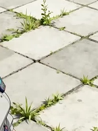 [Dubbed]Once A Snake, Now A Dragon - Episode 28