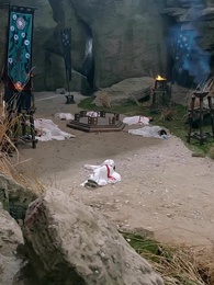 Episodio 33 - La Vittima che è Diventata Dea