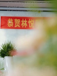 Episodio 7 - No nací para obedecer