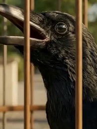 世界末日？749局被曝光 第一季 - Episode 26