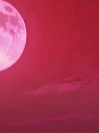 深淵資本家：我的產業遍布兩界 - Episode 7