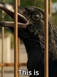 Episode 26 - [Dubbed] Supernatural Apocalypse: 749 Bureau