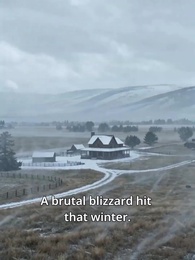 Episode 34 - Scars into Sunlight