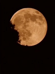 Rich Son, Wounded Father - Episode 32