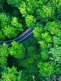 ตอนที่ 39 - ปานที่หายไป