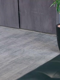 Il Risvrglio del Genero umiliato - Episode 27